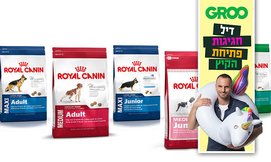 אוכל לכלב ROYAL CANIN