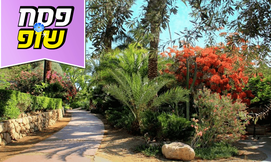 כניסה לגן הבוטני בעין גדי