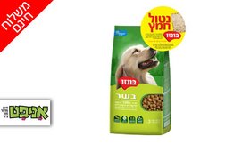 בונזו לכלב