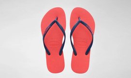 כפכפי havaianas לבנות