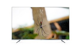 טלוויזיה 65 אינץ' SMART TCL