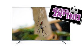 טלוויזיה 65 אינץ' SMART TCL