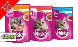 מארז מעדני Whiskas לחתולים