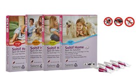 מארז 4 אמפולות Soltif Home