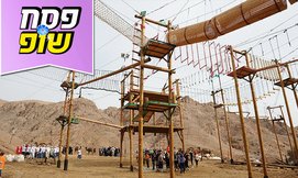 פעילות אתגרית בחוות הגמלים