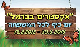 כרטיס ליום כיף אקסטרים בכרמל