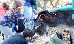 כניסה ל'חווה בגבעה', גבעת ברנר
