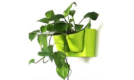 זוג אדניות קיר GREEN WALL