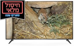 טלוויזיה