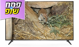 טלוויזיה