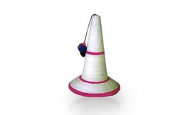 קונוס גירוד לחתול