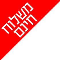 זוג שטיחוני אמבטיה ארגונומיים - משלוח חינם!