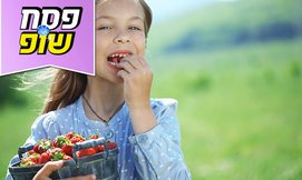 התות והפרח קטיף עצמי וטעימות