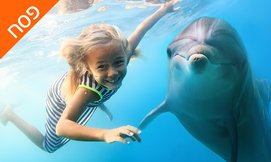 פסח משפחתי באודסה + אטרקציות