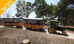 כרטיס משולב דרום אדום יד מרדכי