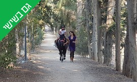 שיעורי רכיבה על סוסים