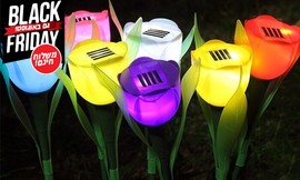סט 10 מנורות טוליפ סולאריות