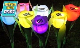 סט 10 מנורות טוליפ סולאריות