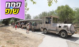 פסח בפארק נאות קדומים