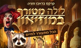 כרטיס ללילה מטורף במוזיאון