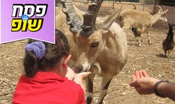 כניסה לחווה החקלאית לגעת בטבע