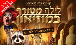 כרטיס ללילה מטורף במוזיאון