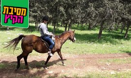 טיול רכיבה על סוסים