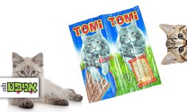 מארז חטיפי Tomi stick לחתול