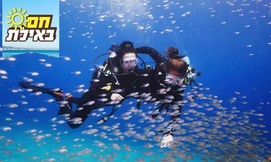 צלילת הכרות-מועדון Ahla Diving