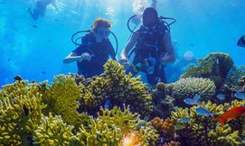 קורס צלילה סקובה, Ahla Diving