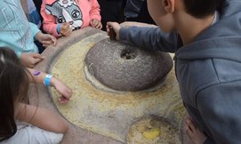 חגיגת שבועות בפארק נאות קדומים