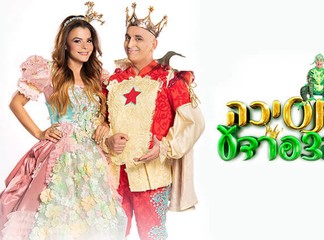 כרטיס להצגה הנסיכה והצפרדע