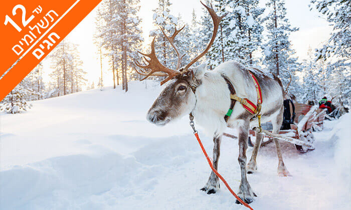 2 ספארי חורף בלפלנד - טיול מאורגן לארץ זוהר הצפון, כולל חגים 2 ספארי חורף בלפלנד - טיול מאורגן לארץ זוהר הצפון, כולל חגים