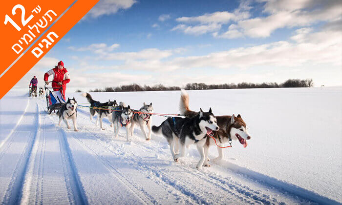6 ספארי חורף בלפלנד - טיול מאורגן לארץ זוהר הצפון, כולל חגים 6 ספארי חורף בלפלנד - טיול מאורגן לארץ זוהר הצפון, כולל חגים