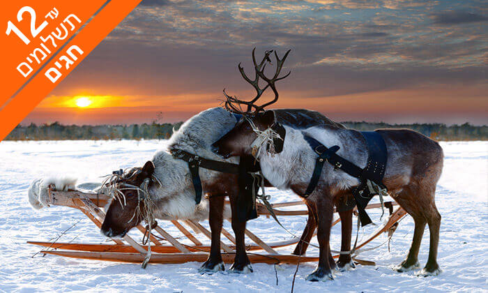 7 ספארי חורף בלפלנד - טיול מאורגן לארץ זוהר הצפון, כולל חגים 7 ספארי חורף בלפלנד - טיול מאורגן לארץ זוהר הצפון, כולל חגים