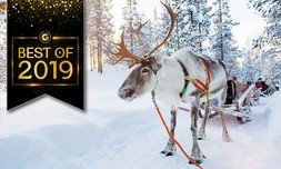 מאורגן לספארי חורף בלפלנד