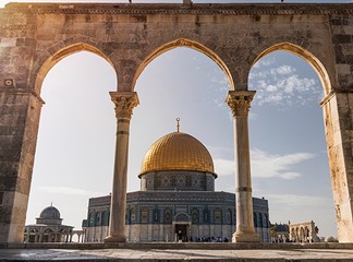 סיור באוטובס קומותיים פתוח