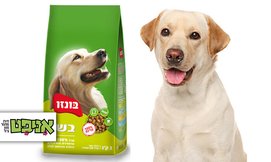 שק בונזו לכלב