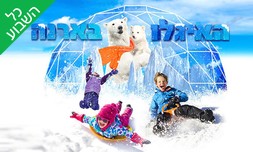 כניסה למתחם האיגלו בארנה