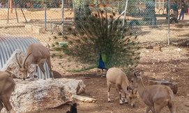 כניסה לחווה החקלאית לגעת בטבע