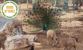 כניסה לחווה החקלאית לגעת בטבע