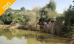 סיור בפארק נאות קדומים