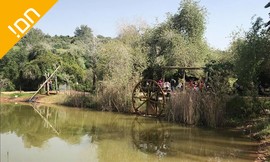 סיור בפארק נאות קדומים