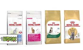 שק מזון יבש לחתול Royal Canin