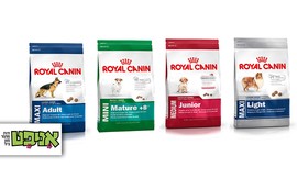 שק אוכל לכלב Royal Canin