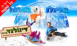 כניסה לאטרקציה בקניון ארנה