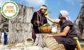 פעילות סוכות בפארק נאות קדומים