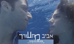 כרטיס להצגה אביב מתעורר, הבימה