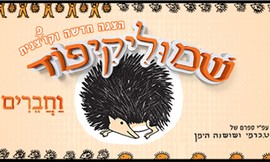 כרטיס להצגת הילדים שמוליקיפוד