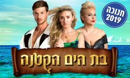 כרטיס לבת הים הקטנה